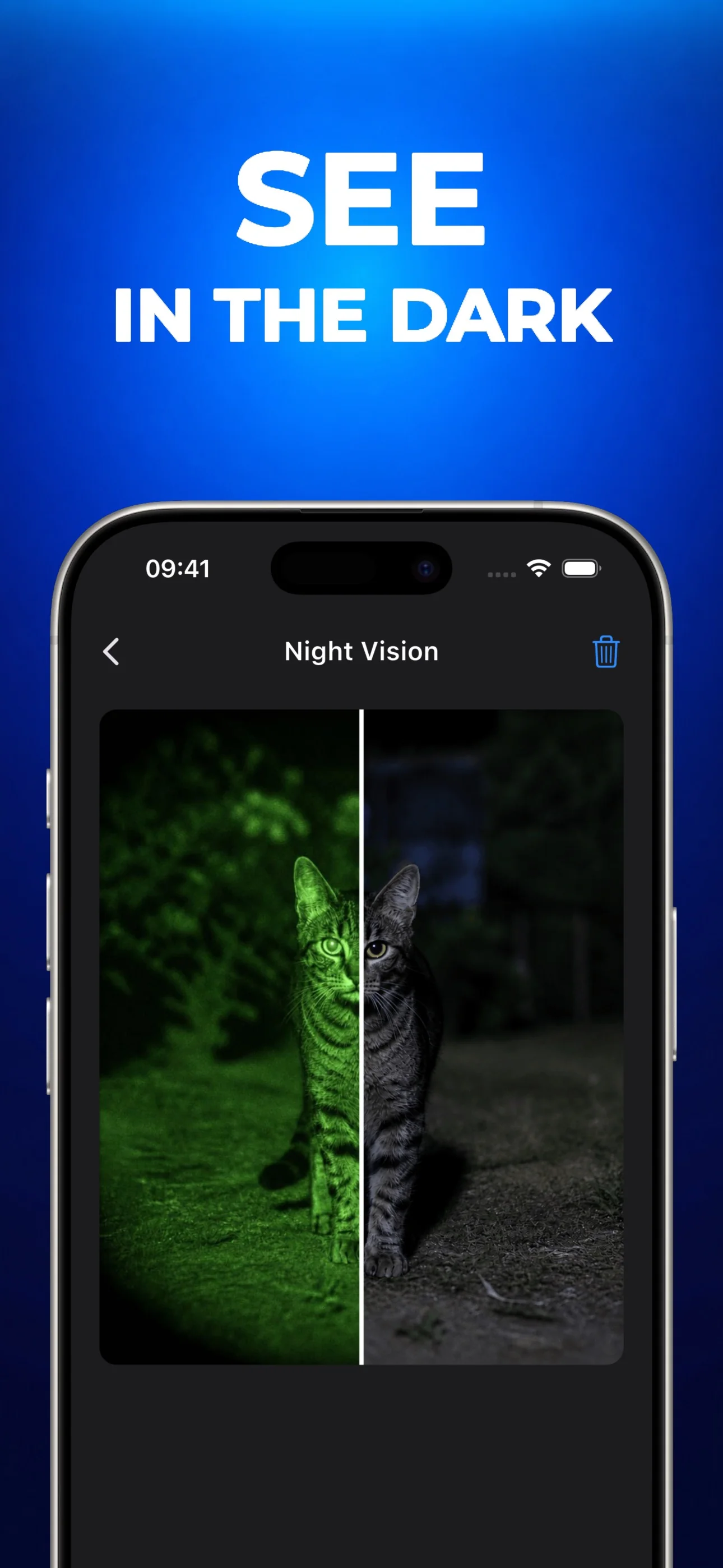XRayly Night Vision effect compared with the original photo